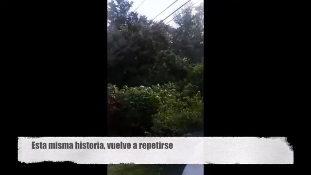 100 Ovejas (Cover) - Saxofonista Felix Santos Cunde смотреть онлайн