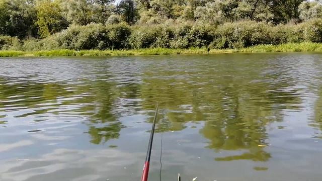 Ещё раз о ловле на пшеницу. смотреть онлайн