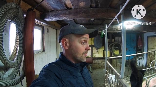 ‼️Какие уколы ставлю свиноматки во время и после опороса‼️Процедуры в первые сутки поросятам ‼️ смотреть онлайн