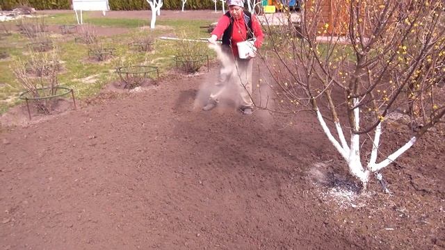 Белый клевер. Медоносный клевер. Ползучий клевер. смотреть онлайн