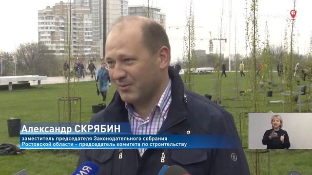 90 пирамидальных тополей высадили донские депутаты смотреть онлайн