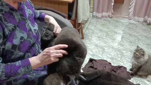 Что можно сделать из старой шубы. Не подскажите? смотреть онлайн