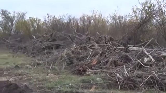 РАСКОРЧЕВКА СТАРЫХ САДОВ В РОСТОВСКОЙ ОБЛАСТИ смотреть онлайн
