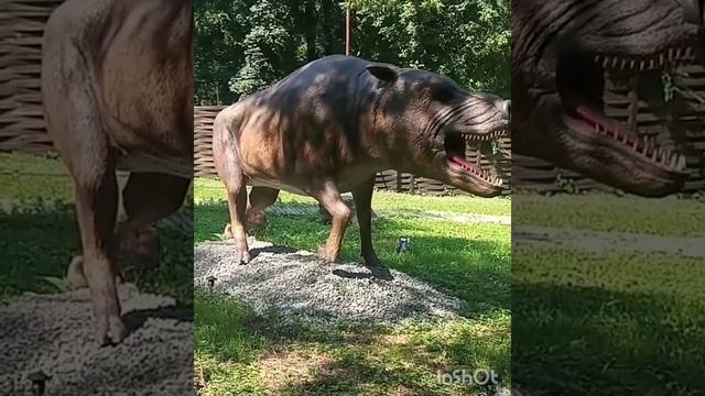 Парк динозавров??#днепр #динопарк #паркдинозавровднепр #зеленыйгайпарк #паркдинозавров