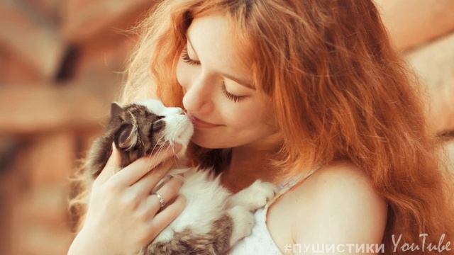 Муж выбросил моего кота, а я решила выбросить мужа и заявила на него в полицию смотреть онлайн