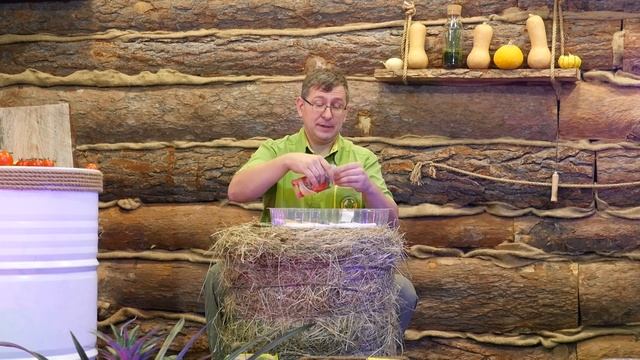 Консультант Cадовода на Усадьбе №"4 смотреть онлайн