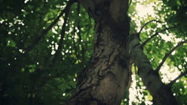 я хочу любить тебя