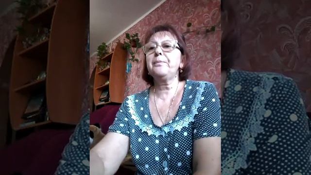 Как отучить мужа разбрасывать носки. смотреть онлайн
