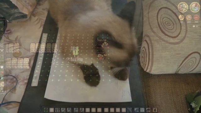 [DST Tutorial] How To Use STATUES as UNBREAKABLE WALLS (Building Basics) смотреть онлайн