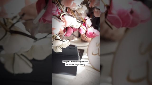 положение ?адвент календарей? в исламе #пятницамусульманки смотреть онлайн