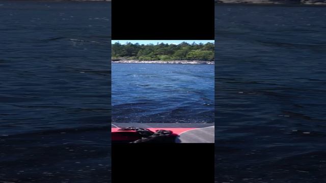 MOV_0768.mp4 смотреть онлайн