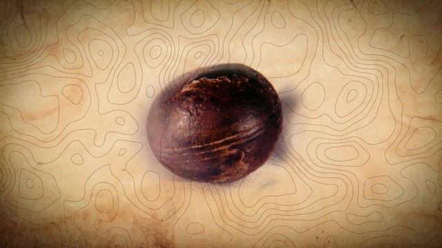 The Ancient Artifacts: Revealing A Different Story Of History