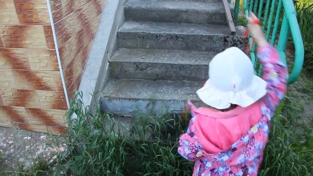 Выгуливаем домашнюю кошку на природе Кошка на поводке Кошечка Диана Дача Лето 2017 смотреть онлайн