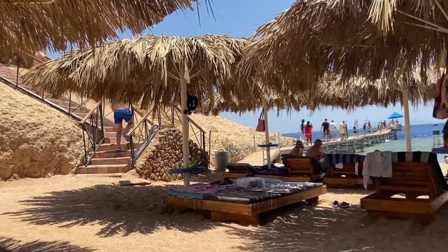 Обзор отеля Amphoras 5*,Шарм эль шейха