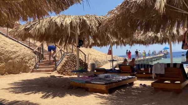 Обзор отеля Amphoras 5*,Шарм эль шейха