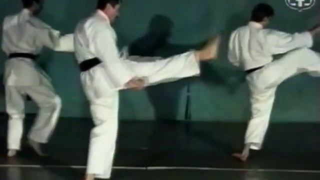 Тигр и восходящее солнце шотокана. Часть 26 смотреть онлайн
