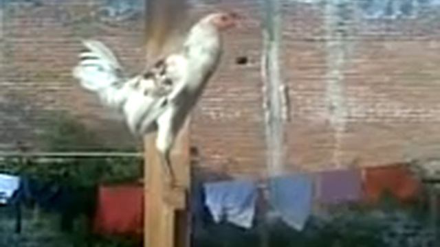 Крематорий ВАНКОР НЕФТЬ - ЗаО ИнтЕрСпеЦсТроЙ смотреть онлайн