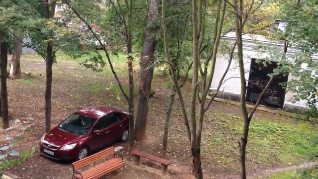 Брачный сезон белок во дворе смотреть онлайн