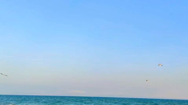 Одесса, моря бирюза смотреть онлайн