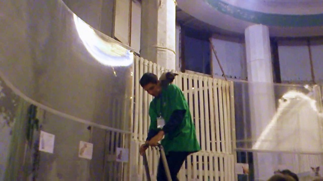 Фелинариум