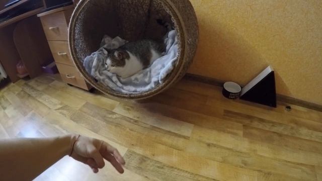 Усиление входа в кошачий домик-шар из льна. смотреть онлайн