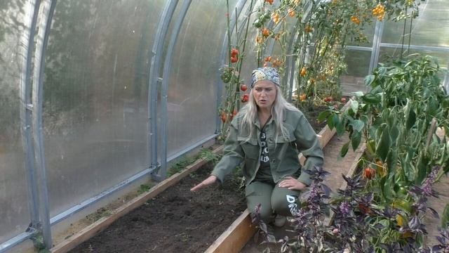 Оздоравливаем почву в теплице смотреть онлайн