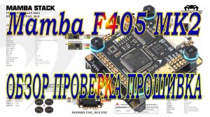 MAMBASYS F405-MK2 / Обзор проверка прошивка /Перспектива на будущее