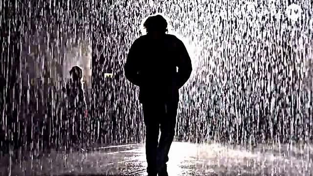 История одного битарда