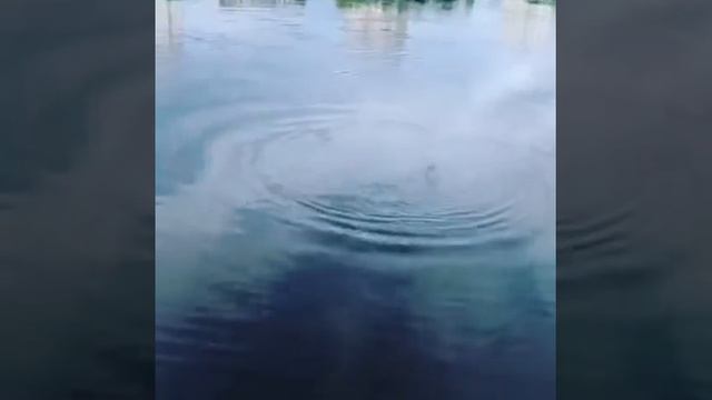 Поймал леща москва река южный порт смотреть онлайн