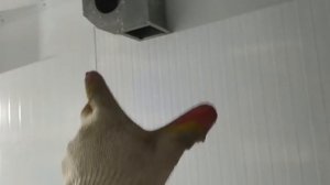 Печь порошковой покраски своими руками. Часть 1.