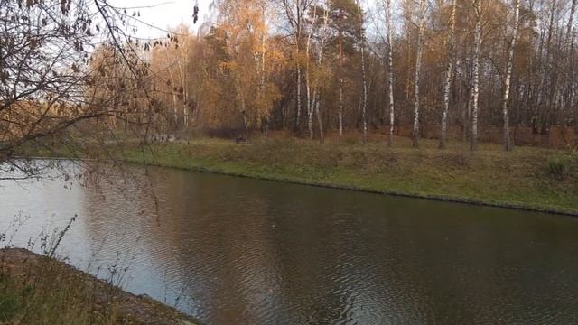 Путяевские пруды, сокольники смотреть онлайн