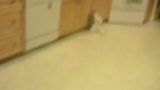 Nick and Dylans hunting extravaganza episode 3 смотреть онлайн