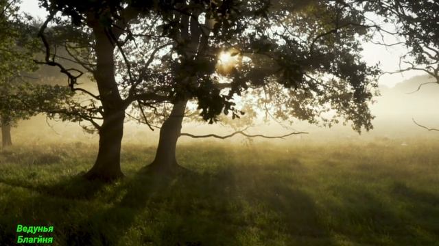 Заговор на жадного мужа.Обряды смотреть онлайн