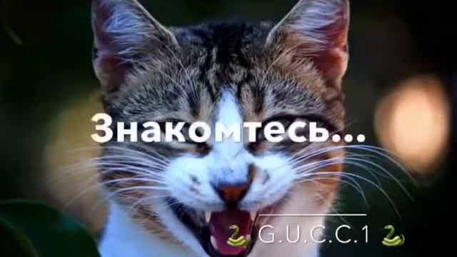 Теперь не будут говорить😂😂 смотреть онлайн