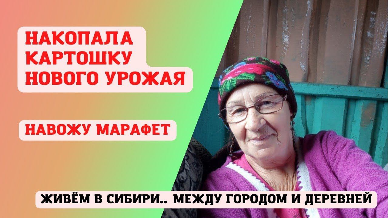 27.07.2022 Пробую накопать свежий картофель. Солю огурцы. Навожу марафет