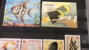 Коллекция почтовых марок. Фауна