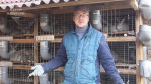 Обзор новой улучшенной клетки для кроликов!