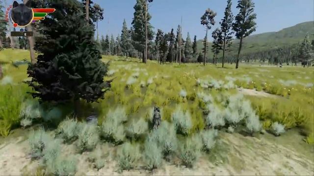 Trapped in an Elk STAMPEDE?! ? WOLF QUEST: TWIN MOONS • #18 смотреть онлайн