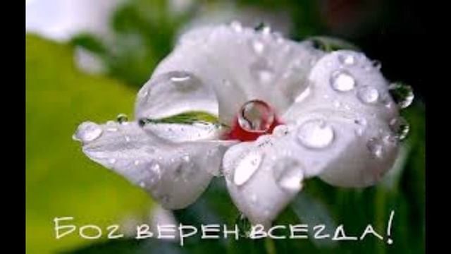 "Я хочу любить" - христианская песня смотреть онлайн