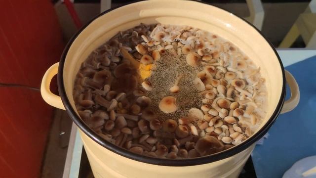 Варим осенние опята ? смотреть онлайн