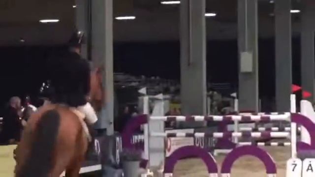 La Vue big Tour 1* JBK horse show смотреть онлайн