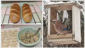 «Жизнь на пенсии».. Скучать некогда- Налепила вареников с грибами и картофелем