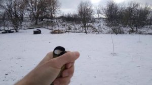 Как узнать самец или самка,секрет показываю на синички