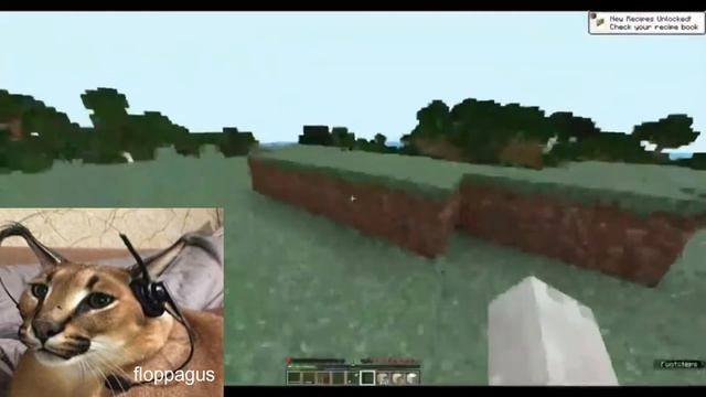 floppa speedruns minecraft смотреть онлайн