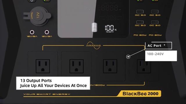 PPS BlackBee 2000 смотреть онлайн