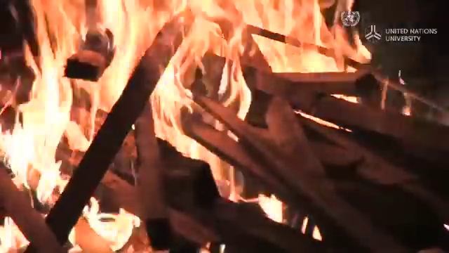 The Forbidden forests of the Dayak, Borneo, Indonesia смотреть онлайн