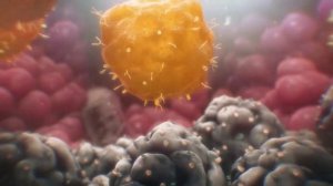 Раковые клетки под микроскопом