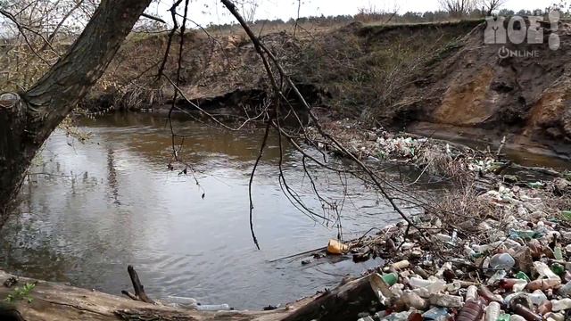 В ручье на окраине Воронежа появилась гигантская плотина из пластиковых бутылок смотреть онлайн