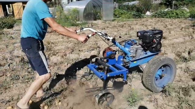 Копка картофеля 2020 смотреть онлайн