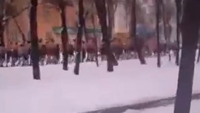 Екатеринбург Уралмаш на утренней пробежке 31.12.12 11.30.mp4 смотреть онлайн